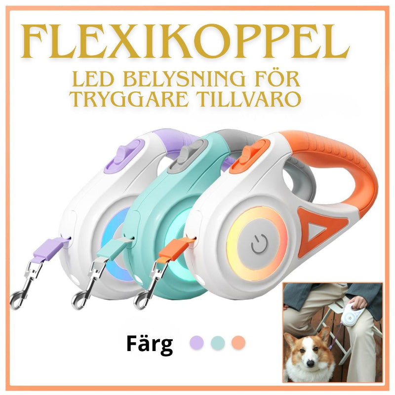 Utdragbart Hundkoppel – Automatiskt & Säkert