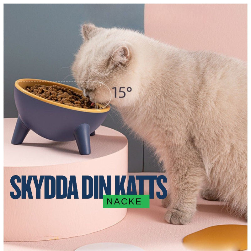 Ergonomisk Matskål för Katt med Lutande Design